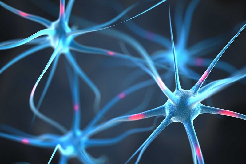 Alzheimer’s Disease Alzheimer’s Disease