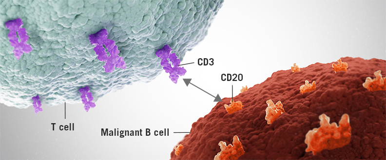 B-cell non-Hodgkin’s lymphoma-CD20-CD3