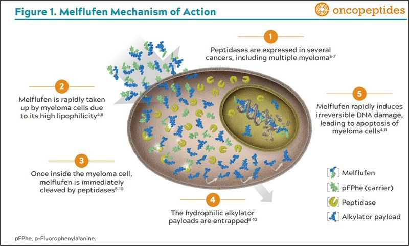 Melflufen(OP-106) Melflufen(OP-106)