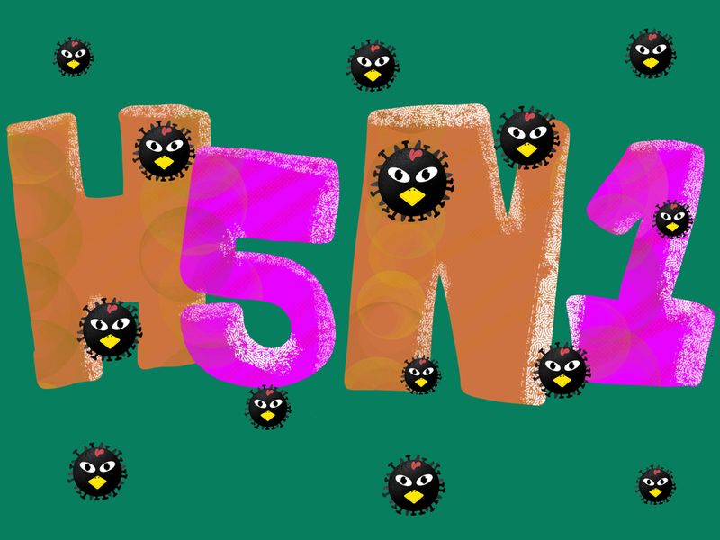 Influenza A (H5N1)