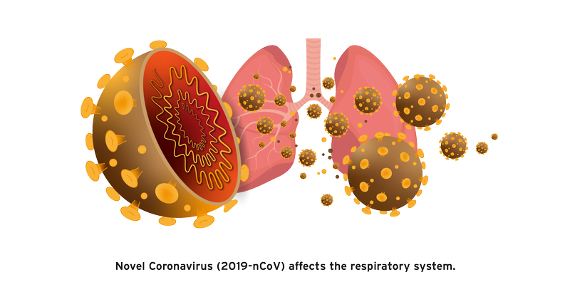 Coronavirus 2019-nCoV Coronavirus 2019-nCoV