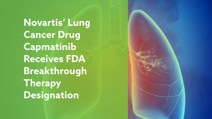 Capmatinib (INC280) Capmatinib (INC280)