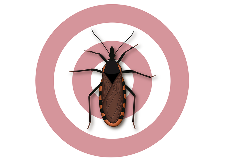 FDA Approves Lampit (nifurtimox) for the Treatment of Chagas Disease in Children