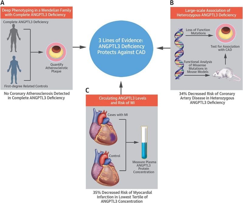 Evinacumab Evinacumab