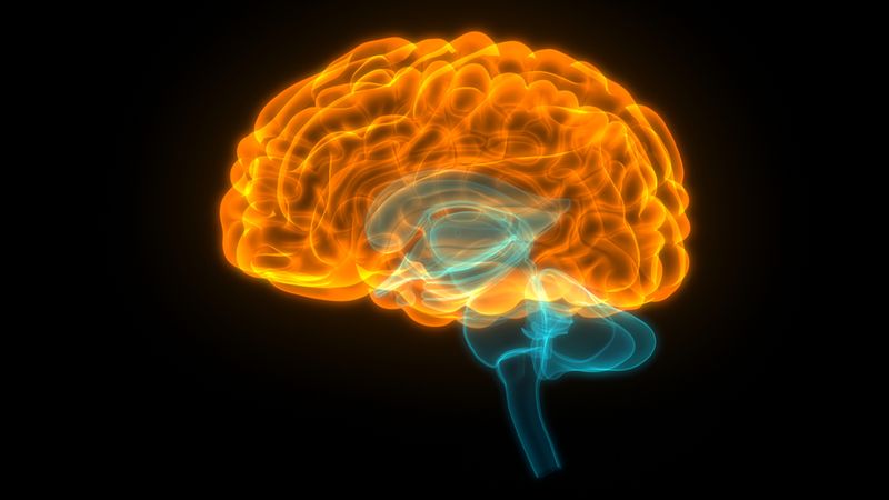 Brain Tumors Brain Tumors