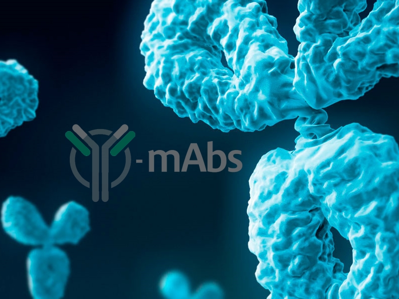 Y-mAbs_Neuroblastoma