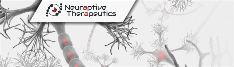 Peripheral Nerve Injuries Peripheral Nerve Injuries