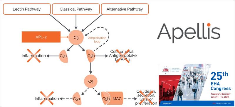 Pegcetacoplan(APL-2) Pegcetacoplan(APL-2)