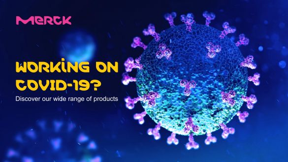Merck to Announce Multiple Scientific Efforts to Combat COVID-19 Merck to Announce Multiple Scientific Efforts to Combat COVID-19