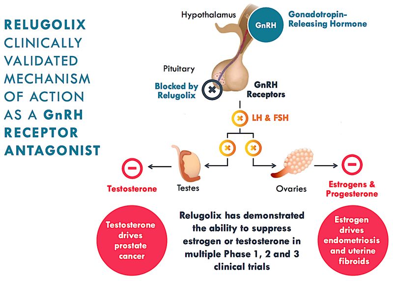 Relugolix