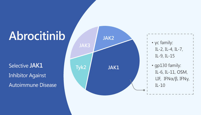 Abrocitinib-JAK1-Inhibitor-Autoimmune-Disease Abrocitinib-JAK1-Inhibitor-Autoimmune-Disease