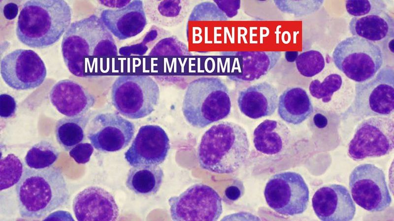 Blenrep（belantamab mafodotin-blmf）