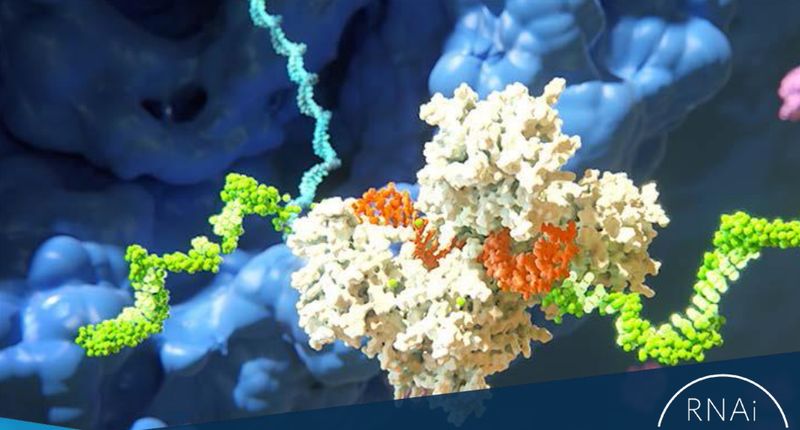 Alnylam Reports Positive Topline Results from HELIOS-A Phase 3 Study of Vutrisiran in Patients with hATTR Amyloidosis with Polyneuropathy Alnylam Reports Positive Topline Results from HELIOS-A Phase 3 Study of Vutrisiran in Patients with hATTR Amyloidosis with Polyneuropathy