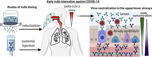 SARS-CoV-2 mAb Combo