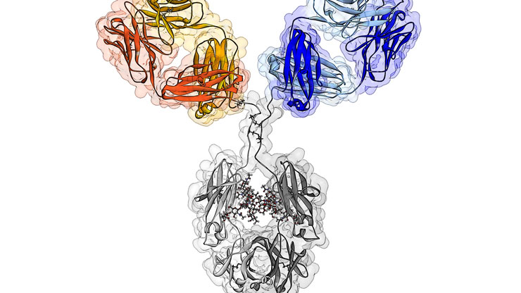 Faricimab Faricimab