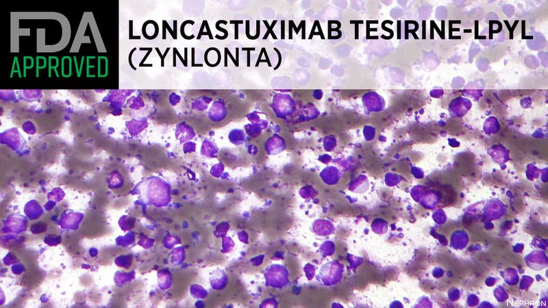 Zynlonta (loncastuximab tesirine-lpyl) Zynlonta (loncastuximab tesirine-lpyl)