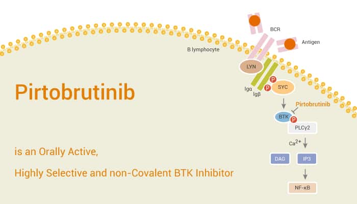 Pirtobrutinib (LOXO-305) Pirtobrutinib (LOXO-305)
