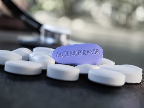 molnupiravir (EIDD-2801 MK-4482) molnupiravir (EIDD-2801 MK-4482)