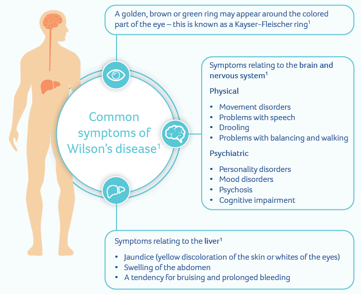Wilson Disease Wilson Disease