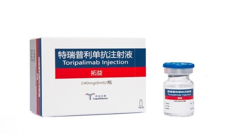 Toripalimab Toripalimab