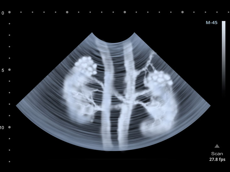 Radiodiagnostic Imaging Radiodiagnostic Imaging