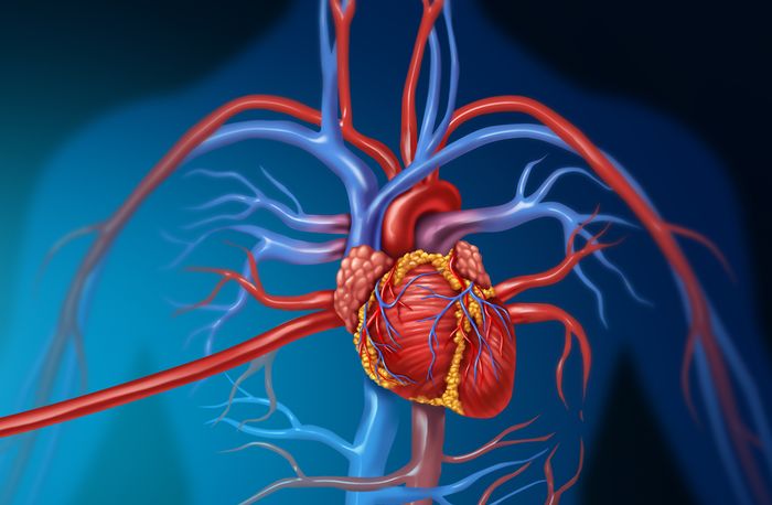 Hypertension and Coronary Artery Disease Hypertension and Coronary Artery Disease