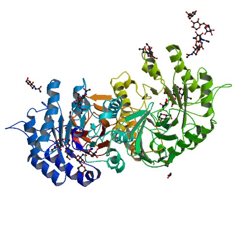 Fabry Disease Fabry Disease