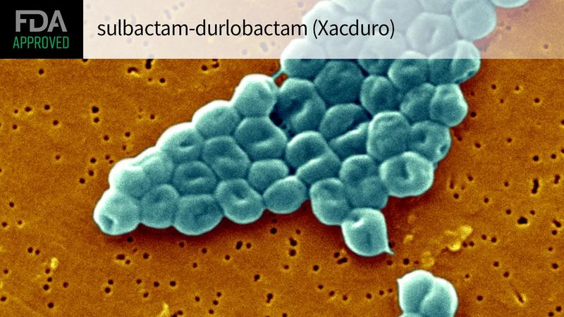 Xacduro (sulbactam and durlobactam) Xacduro (sulbactam and durlobactam)