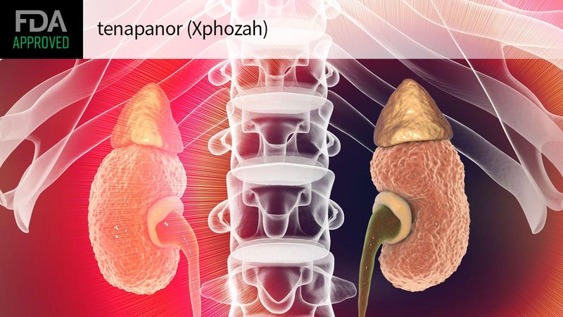 Xphozah (tenapanor) Xphozah (tenapanor)