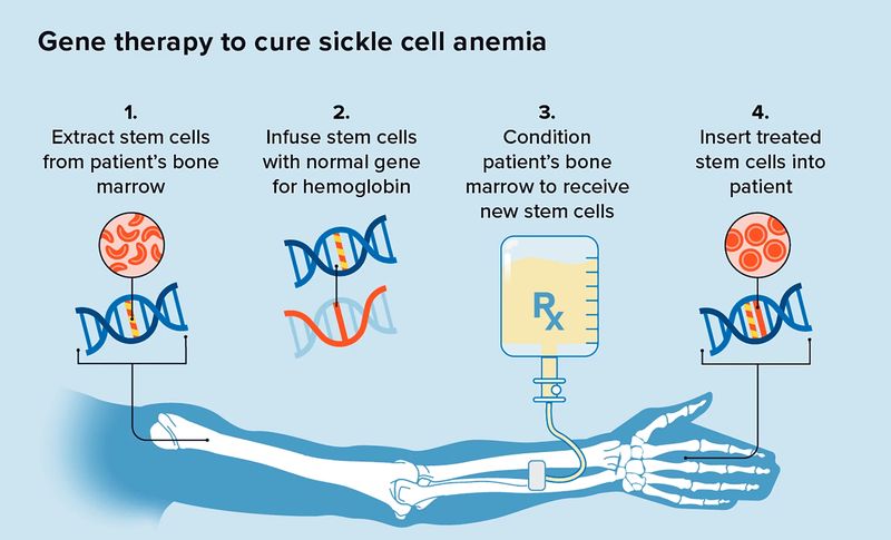 CRISPRCas9 Genome-Edited Cell Therapy CRISPRCas9 Genome-Edited Cell Therapy