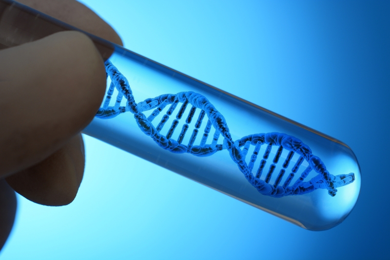FDA Approves Selarsdi (ustekinumab-aekn), a Biosimilar to Stelara FDA Approves Selarsdi (ustekinumab-aekn), a Biosimilar to Stelara