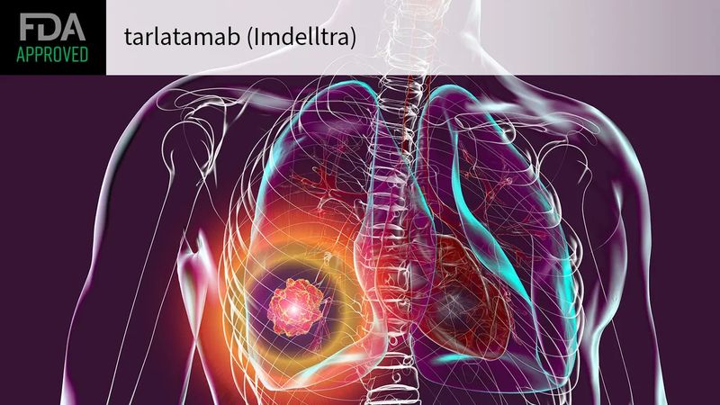 Imdelltra (tarlatamab-dlle) Imdelltra (tarlatamab-dlle)
