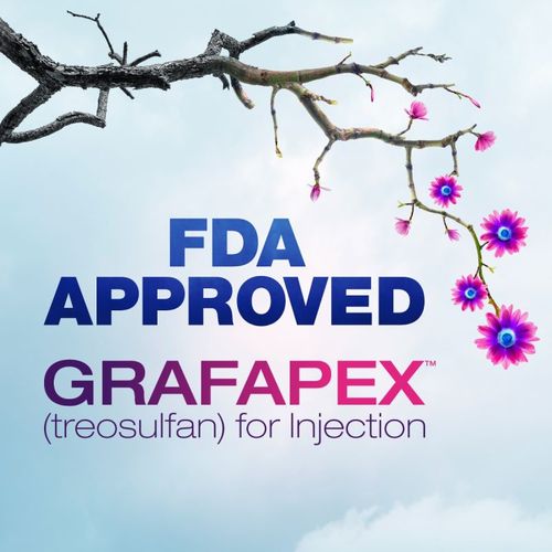 Grafapex (treosulfan) Grafapex (treosulfan)