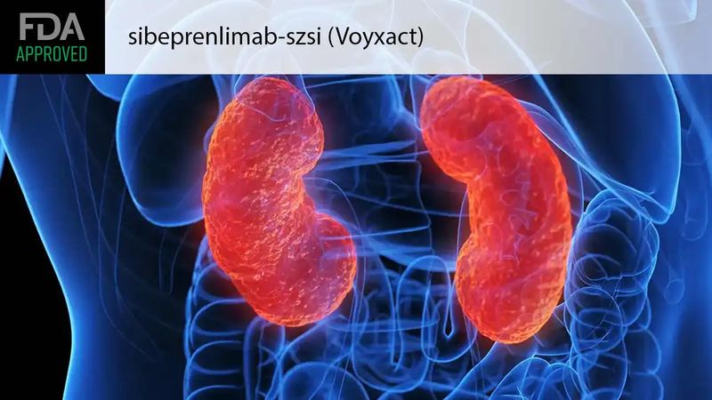 Voyxact (sibeprenlimab-szsi) Voyxact (sibeprenlimab-szsi)