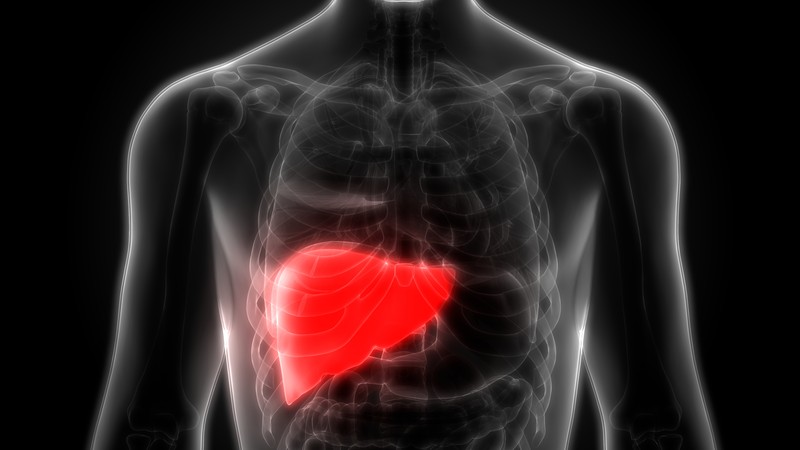 Chronic Hepatitis B Chronic Hepatitis B